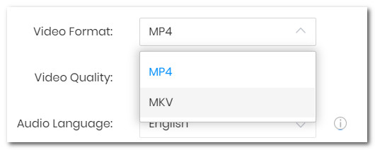 two video format